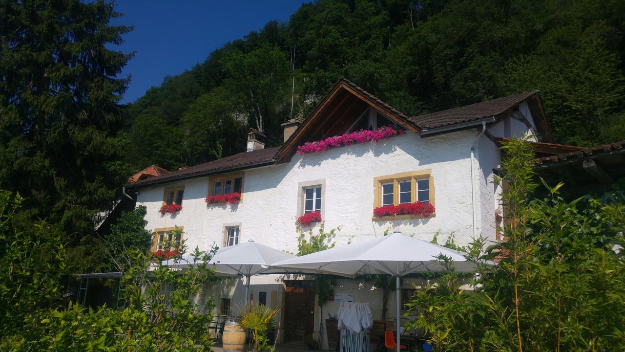 Ferien Auf Dem Weingut